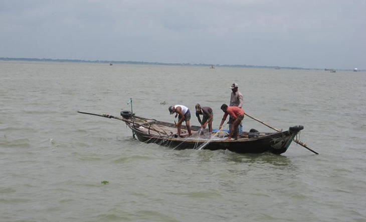 পদ্মা-মেঘনায় ইলিশ ধরা শুরু হচ্ছে